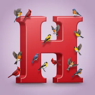 Birds — litera H