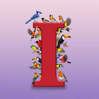 Birds — litera I