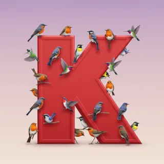 Birds — litera K