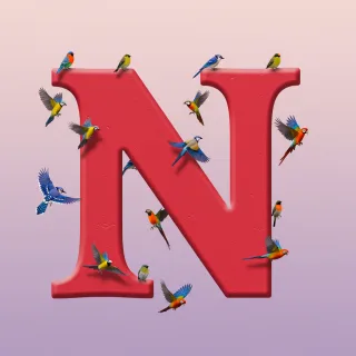Birds — litera N (wariant 2)