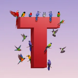 Birds — litera T