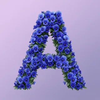 Blue pansies — litera A (wariant 2)