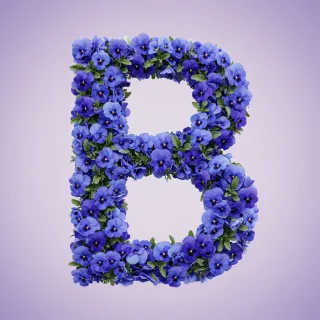 Blue pansies — litera B (wariant 2)