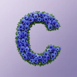 Blue pansies — litera C