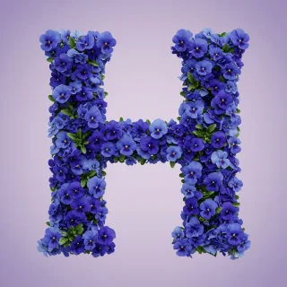 Blue pansies — litera H