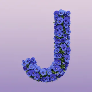 Blue pansies — litera J (wariant 2)