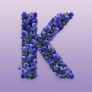Blue pansies — litera K (wariant 2)