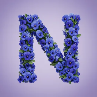 Blue pansies — litera N