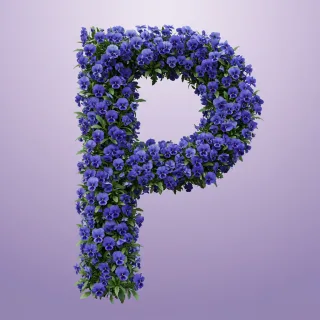 Blue pansies — litera P