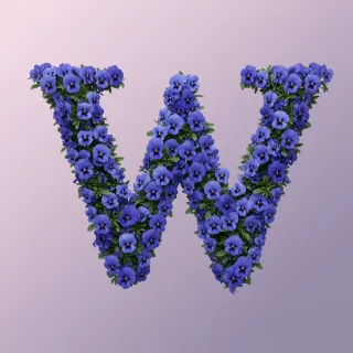 Blue pansies — litera W