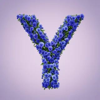 Blue pansies — litera Y (wariant 2)