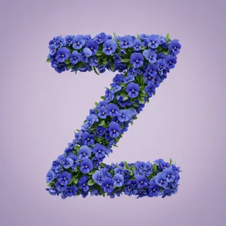 Blue pansies — litera Z