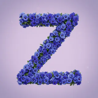 Blue pansies — litera Z (wariant 2)