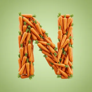 Carrots — litera N (wariant 2)
