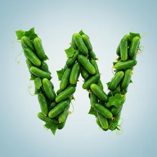 Cucumber — litera W (wariant 2)