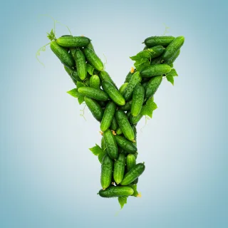 Cucumber — litera Y