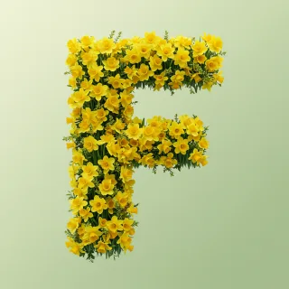 Daffodil 2 — litera F (wariant 2)