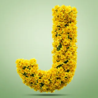 Daffodil 2 — litera J (wariant 2)