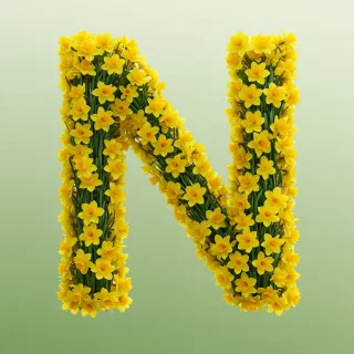 Daffodil 2 — litera N (wariant 2)
