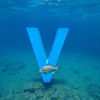 Fish — litera V