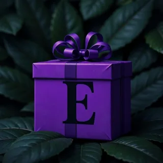 Gift — litera E