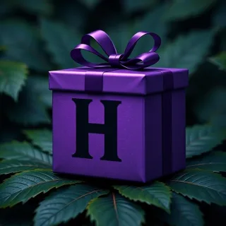 Gift — litera H