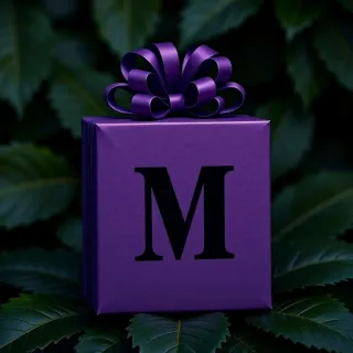 Gift — litera M