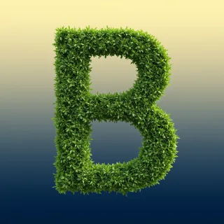Green leaves 2 — litera B (wariant 2)