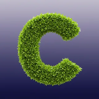 Green leaves 2 — litera C