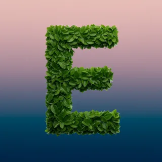 Green leaves 2 — litera E