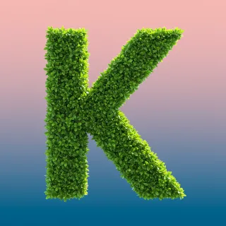 Green leaves 2 — litera K