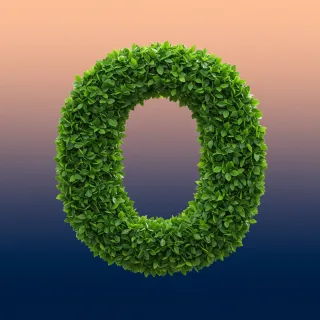 Green leaves 2 — litera O (wariant 2)
