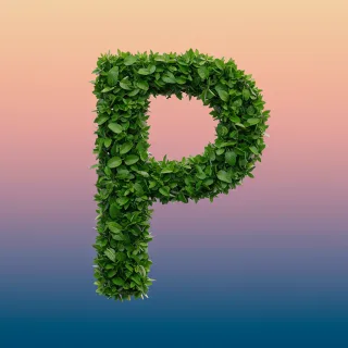 Green leaves 2 — litera P (wariant 2)