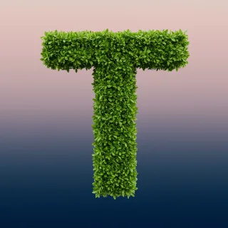Green leaves 2 — litera T (wariant 2)