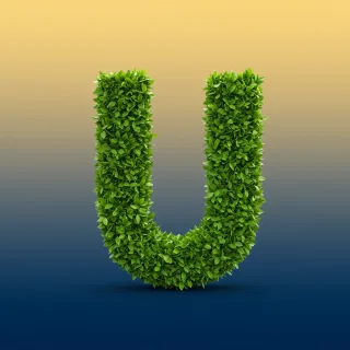 Green leaves 2 — litera U