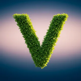 Green leaves 2 — litera V