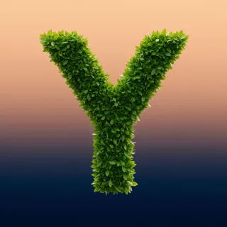 Green leaves 2 — litera Y (wariant 2)