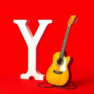 Guitar — litera Y
