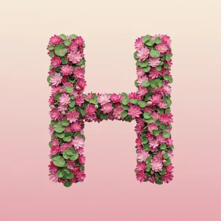 Lotus — litera H (wariant 2)