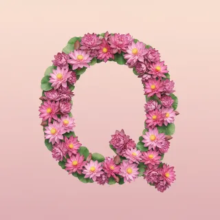 Lotus — litera Q
