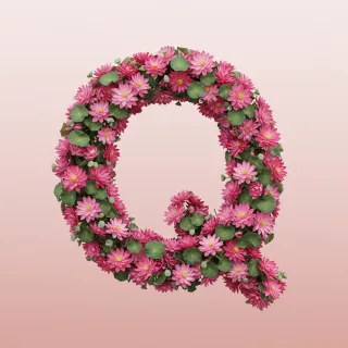 Lotus — litera Q (wariant 2)
