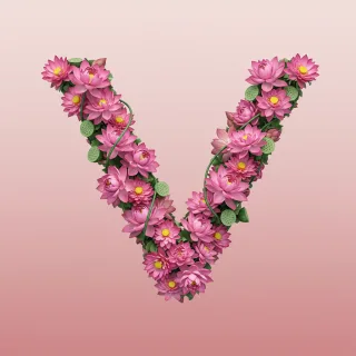 Lotus — litera V