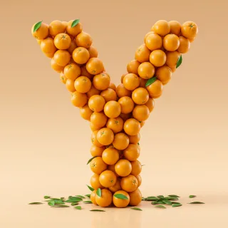 Oranges 2 — litera Y