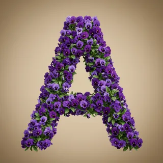 Pansies 3 — litera A