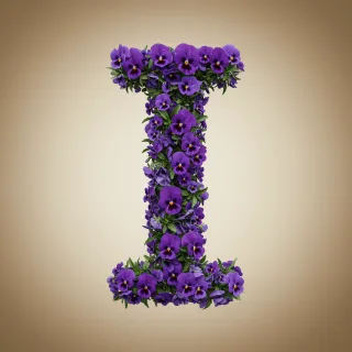 Pansies 3 — litera I
