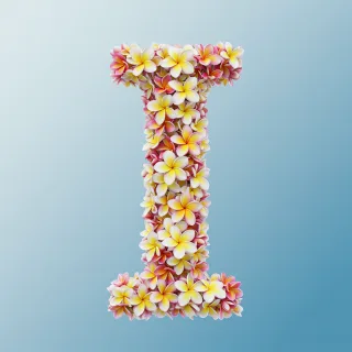Plumeria — litera I