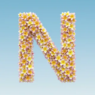 Plumeria — litera N