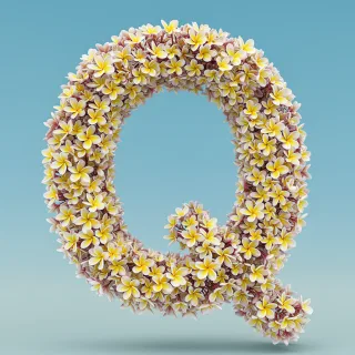 Plumeria — litera Q (wariant 2)