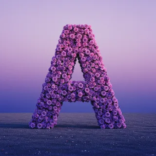 Purple rose — litera A