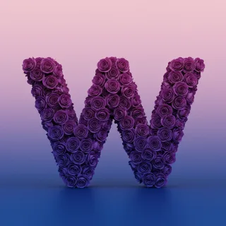 Purple rose — litera W